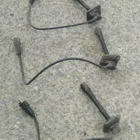 swec prowoda babycika