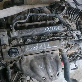 2.4 mator karopka 13  morda