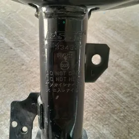 Amersator duty kemri