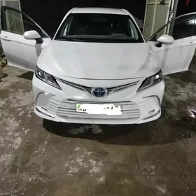 Toyota Camry 2020