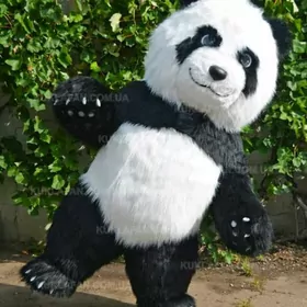 panda