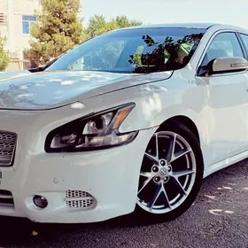 Nissan Maxima 2010