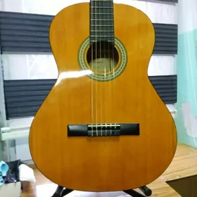 klasika GITARA классически