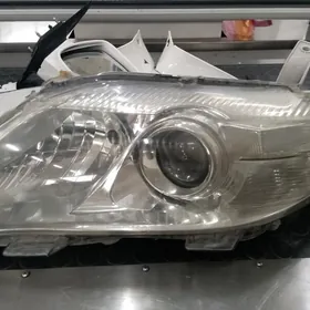 öküz kelle fara bakawoi