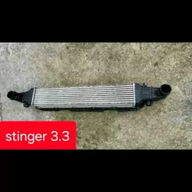 stinger genesis intermuler