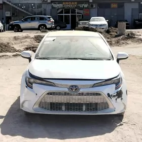 Toyota Corolla 2020