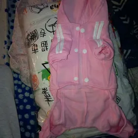 собачий костюм