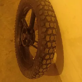 Fekon diga pakrişga arassaja