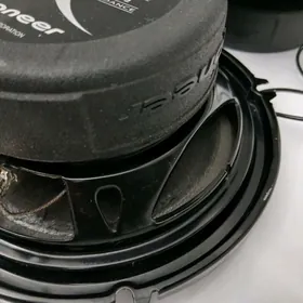 300.Nikl..pasdi taze.