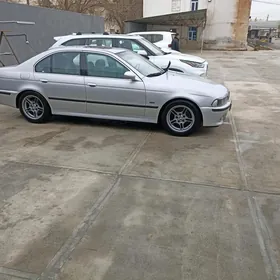 Diska bmw e39