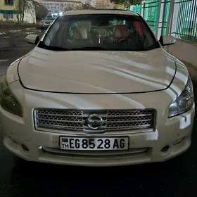 Nissan Maxima 2010