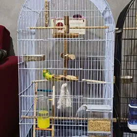 Guş ketek Клетка большая