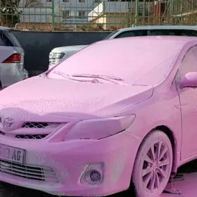 Toyota Corolla 2009