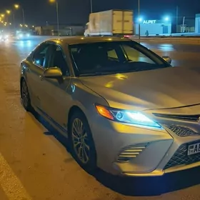 Toyota Camry 2019