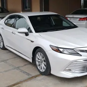 Toyota Camry 2019