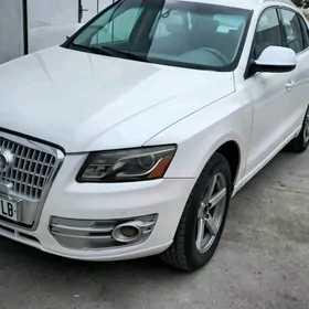 Audi Q5 2009