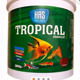 Тропикалка