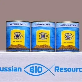 Артемия цысты