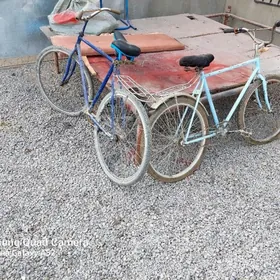 tigirl ýagdayi gowi