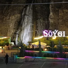 isger gerek tämizleyji уборщиц