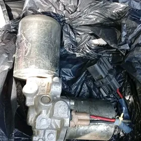 ABS WAKUM GIBRID MORDA