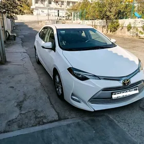 Toyota Corolla 2019
