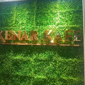 salatnisa powara komekçi