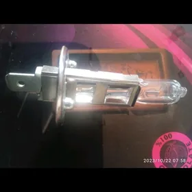 LAMPA H1 OSRAM MORDA