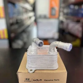 Karopka Kuller Hyundai Kia Ohl