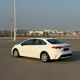 Toyota Corolla 2019