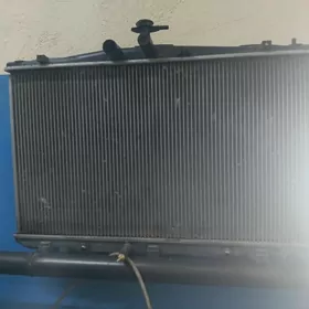 sievenna 18 vyly Radivatyr