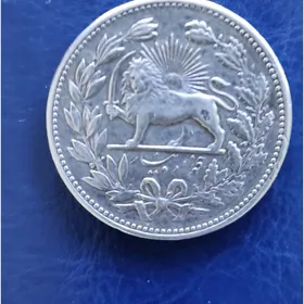 Монета Серебро.  24 г