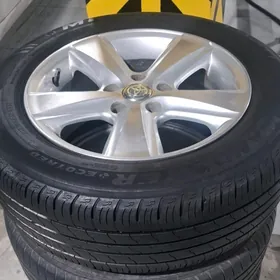 16 lik diska pakriska