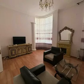 Arenda jay Saweski elitka 