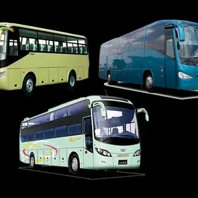 Awtobus sürüjisini gözleýäris