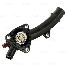 Termostat yumurtga matorynky