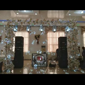 toya aparat gyssagly