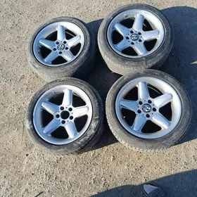 BMW 17 disga şnaýzer