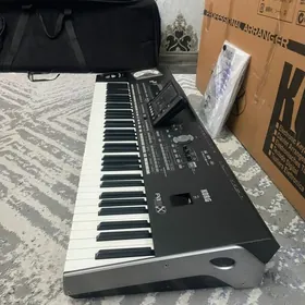 Korg  Pa3x 76