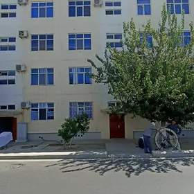 ARENDA JAY NAGINA 2 KOM