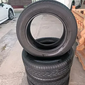 Teker Haylander 245.60.18