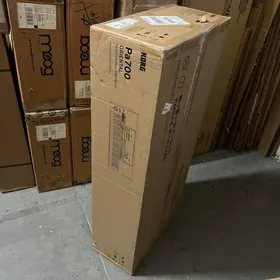 Korg Pa700 oriental