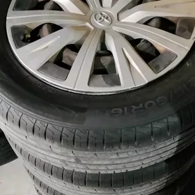 16 lik diska pakriska