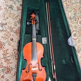 sunrise  скрипка