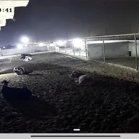 Tayyar ferma 9 komissar