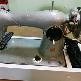 tikin masyn gadymy padol