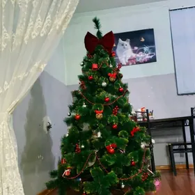 yolka, arca, ёлка (2 metr)