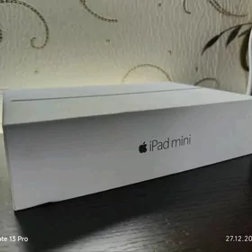 iPad mini 4