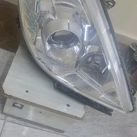 tida versa lupa fara