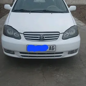 Toyota Corolla 2004